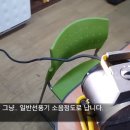 캠핑용 팬히터 전기난로,생 밤 껍질 쉽게 벗기는법,마이크로사 LED 제조 기술,자폐아 출산 원인,손상된 척수에 주사 한 방…재생 유도 '젤' 개발 이미지