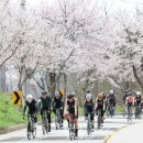 입석1길 이미지