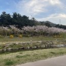 미가 팥빙수 이미지