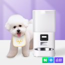 홍이삼이네 | [구매후기] 디클펫 강아지 고양이 듀얼 자동급식기 AT-320 추천