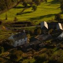 so tree farm 이미지