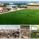 평창라마다호텔 이미지