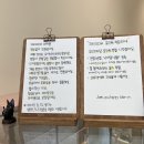 많이 달지않은 세종 종촌동 재이피우 마카롱