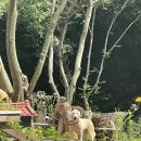 연곡가든 이미지