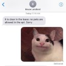 밈