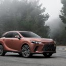 도원플러스주유소유 | 렉서스 RX 350h, 9천만원대 SUV? 10년 타면 달라 보이는 이유!