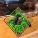 스칸디아모스 작품 만들기 이미지