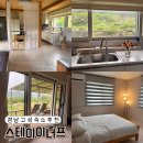 비이너프 | 경남 고성 숙소 추천 내돈내산 애견 동반 숙소 스테이이너프