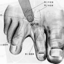 발가락 2~3지 부위가 아플때...| 이미지