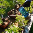 송백가든 이미지