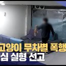 새끼 고양이 3시간 폭행 30대 남성, 4개월 징역형 (피 사진 없음) 이미지