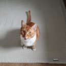 (주)백합사 이미지
