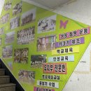 한라무예태권스쿨 이미지