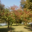 나노아이엔씨 이미지