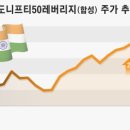 &#39;넥스트 차이나’로 주목받는 이 곳… 인도 ETF에 베팅하는 개미들 이미지