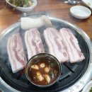 보리돈
