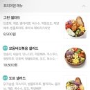 싱싱오리 이미지