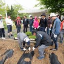 구학리 산채관광 마을 이미지