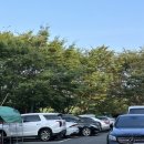 순천만풀리조트 | 순천만 풀리조트 / 103호 후기