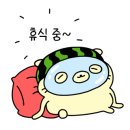 해성펫 네이버블로그