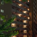 세븐일레븐 부산사직동점 이미지