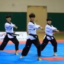 한국체대 호랑이 이미지