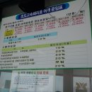 율목선착장 네이버블로그