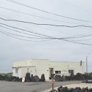 시골하우스 | [제주:월정리] 조용하면서 시골 느낌 가득한 524게스트 하우스🍊(소규모 파티 후기)