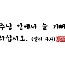필리필리 이미지