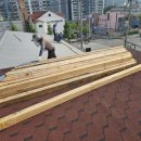 진카센타 이미지