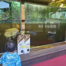 구라미농장 이미지