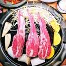 파누스 이미지