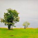 곡성묘천 이미지