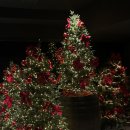 베네치아 | 모두투어 서유럽 패키지 5일차 이탈리아 베니스(베네치아) 여행 후기