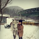 부안아리울승마장 이미지