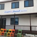 Stay인애월 민박 | 제주 애월 카프리애월 - 게스트하우스 2인실