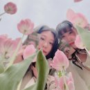 단양힐링미션민박 | 봄 아산 1박2일 피나클랜드, 연춘식당, 외암민속마을 후기(1)