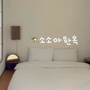 81 | [공주] 충남 공주 감성 한옥 숙소 소소아한옥 3동 후기 1인, 2인 추천