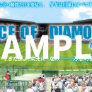 에이스PC게임 이미지