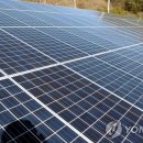 국제에너지 태양광발전소 이미지