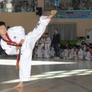 비호체육관 이미지