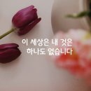 제주라이프 이미지