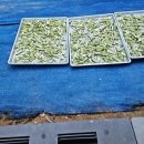 대건농장 이미지