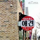 퍼피트렌드 이미지