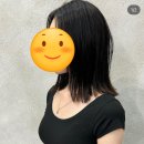 하다헤어구월