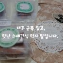 기억하개 이미지