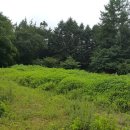 김순기농장 이미지