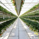 (주)스마트그린 이미지