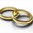 사랑모아결혼정보 이미지