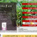 칼로핏 - 제천시 청풍호로 49 | 칼로핏